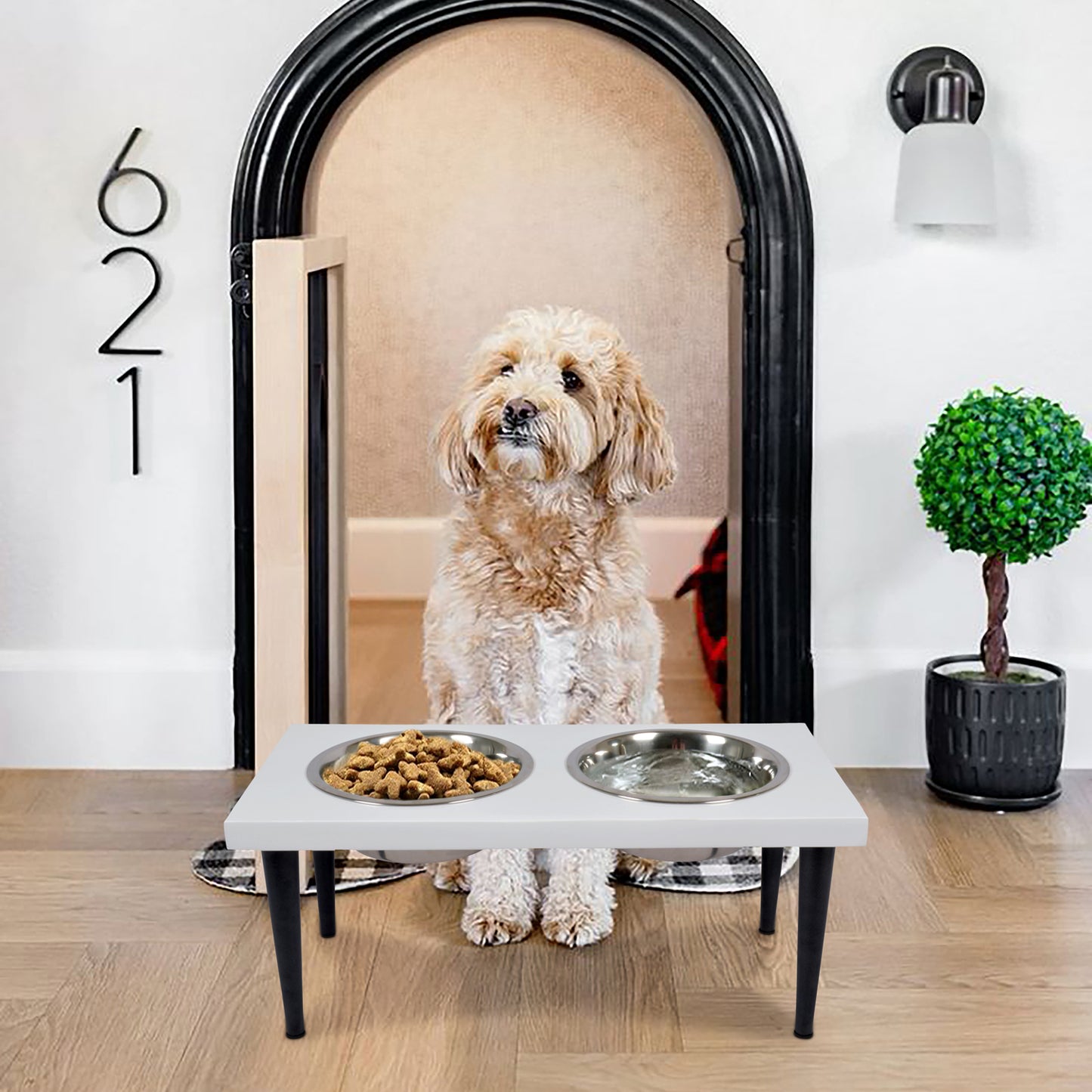 Lucy Elevated Dog Feeder