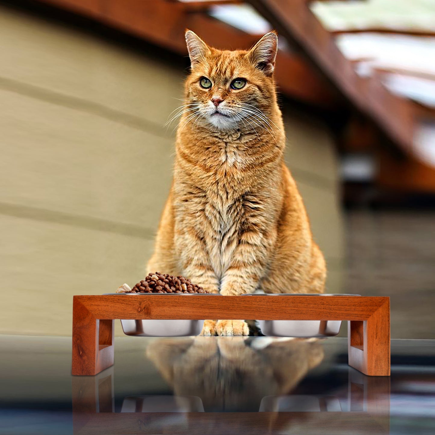 Whiskers Elevated Cat Feeder