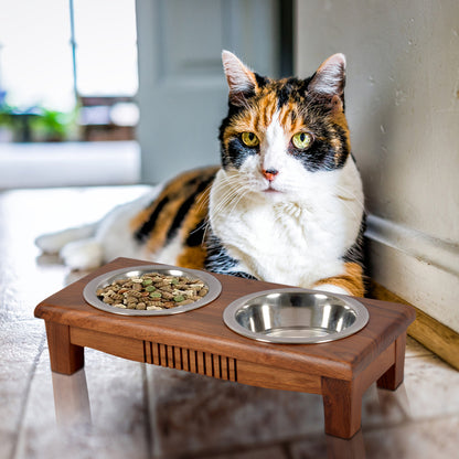 Sophie Elevated Cat Feeder