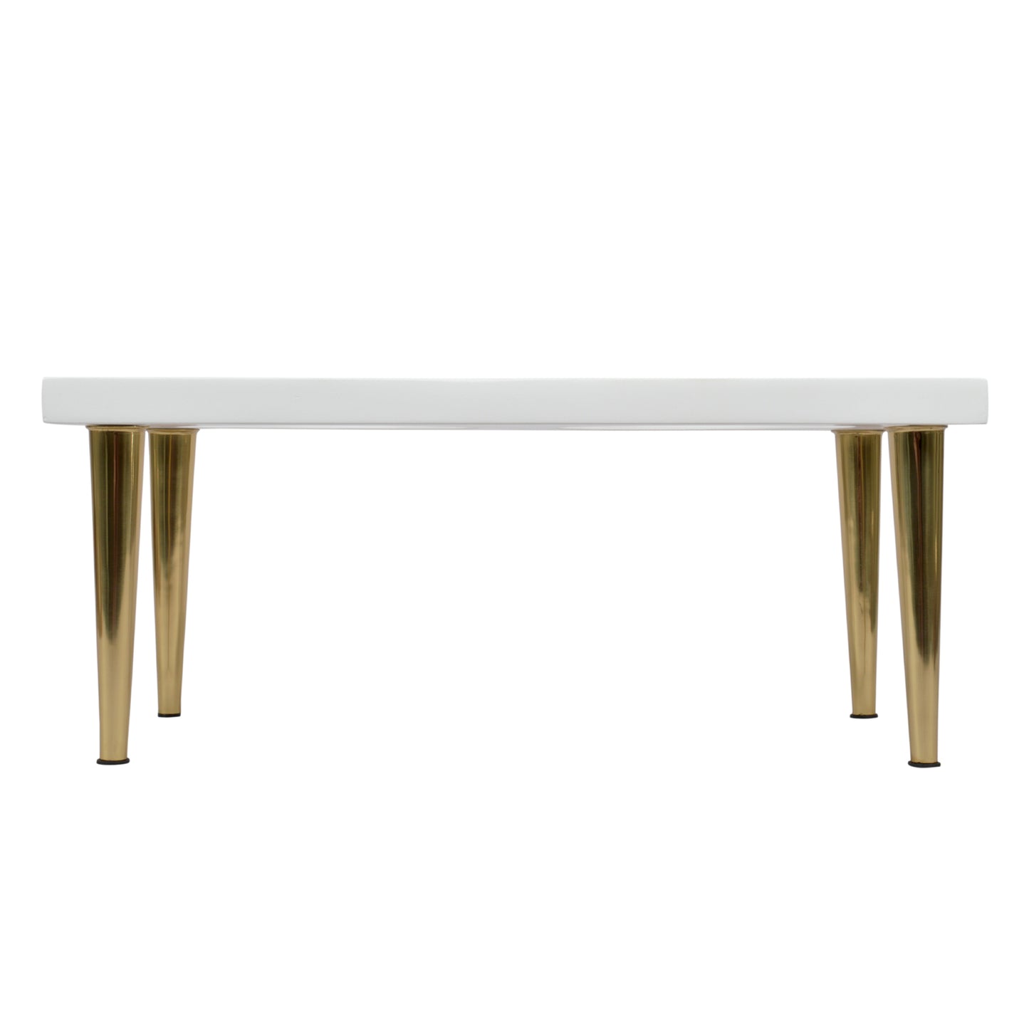 Sasha Elevated Dog Feeder