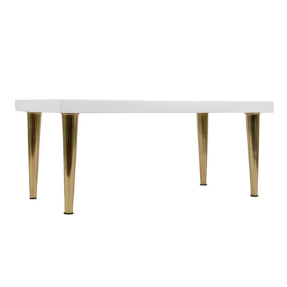 Sasha Elevated Dog Feeder